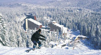 Borovets